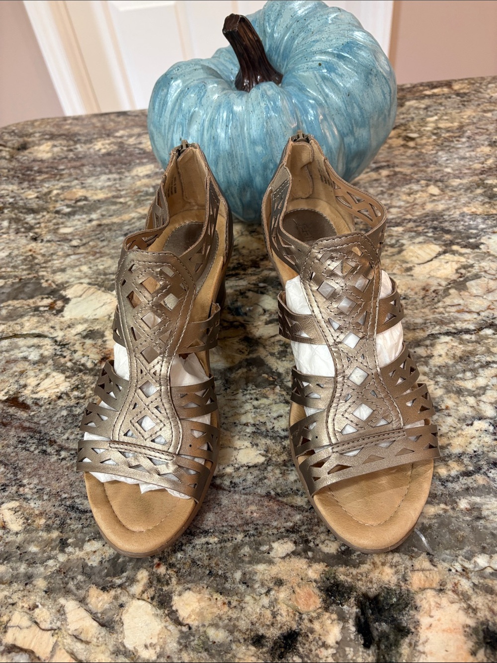 Earth Women’s Wedge Sandals